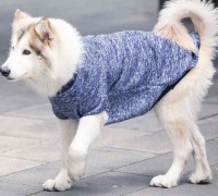 宠物冬季服装